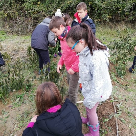 Albergue 5º- 2º día 31