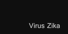El virus Zika