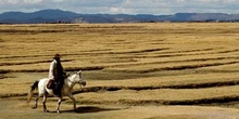 Penillanura andina, Perú