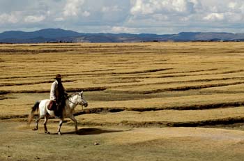 Penillanura andina, Perú