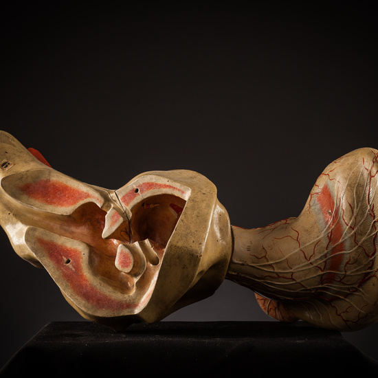 IES_SANISIDRO_BIOLOGIA_271