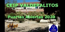 Puertas abiertas CEIP Valdepalitos