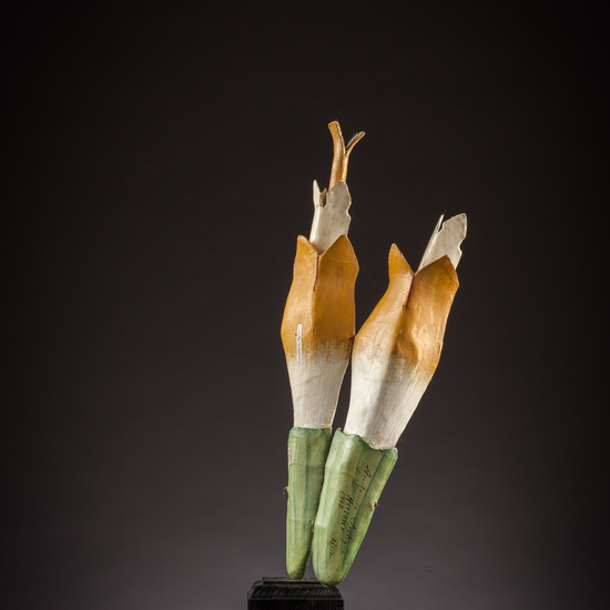 IES_ISABELLACATOLICA_BIOLOGIA_035