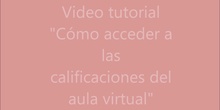 Video tutorial para acceder a las calificaciones del aula virtual