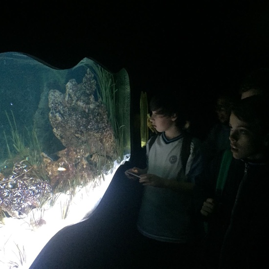 Faunia: taller y visita guiada 11