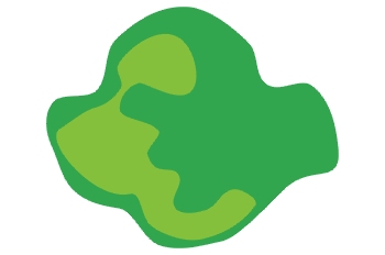 árbol, vista cenital