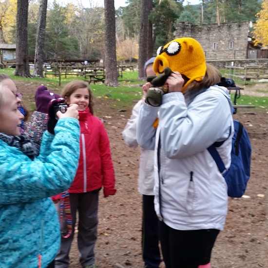 MANZANARES EL REAL 11