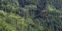 El Tren de Juguete por la montaña, Darjeeling, India