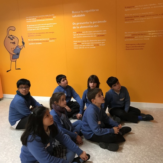 Aula Salud 4º EP marzo 2018_1 15