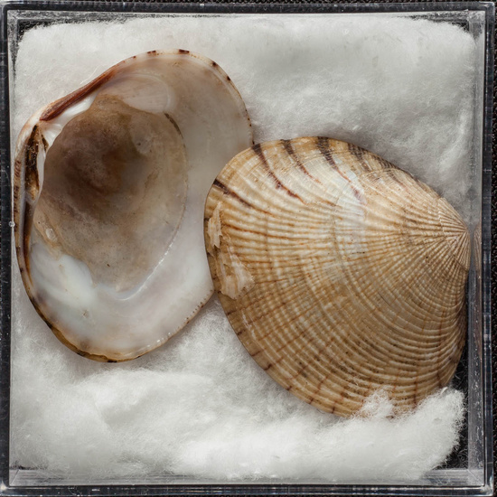 IES_ISABELLACATOLICA_BIOLOGIA_450