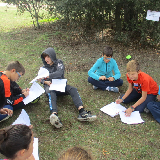 EN MÚLTIPLE 6º - 2019 (2ª Parte) 14