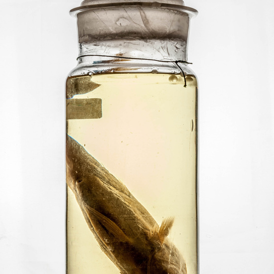 IES_CARDENALCISNEROS_CIENCIASNATURALES_384