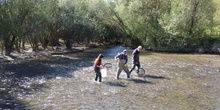 Recogida de una muestra pequeña de peces para su investigación