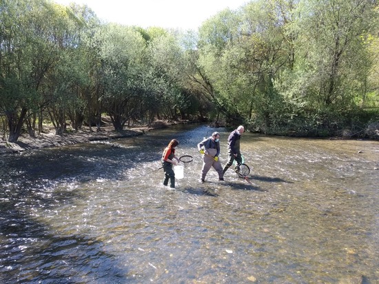 Recogida de una muestra pequeña de peces para su investigación