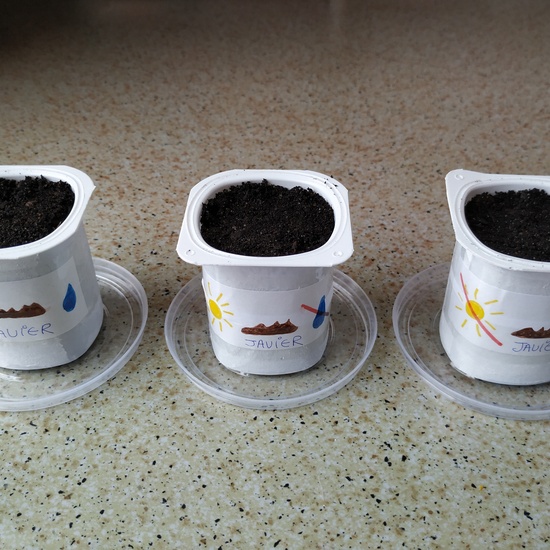 ¡ÁNIMO, YA QUEDA MENOS! 8