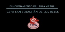 Funcionamiento del aula virtual