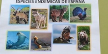 ESPECIES ENDÉMICAS DE ESPAÑA