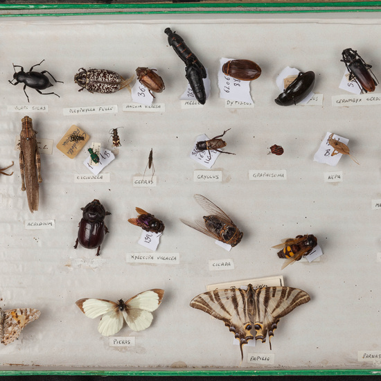 IES_SANISIDRO_MUSEO_015