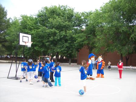 Actividades singulares 14