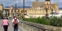 Panorámica del casco histórico de Córdoba, Andalucía