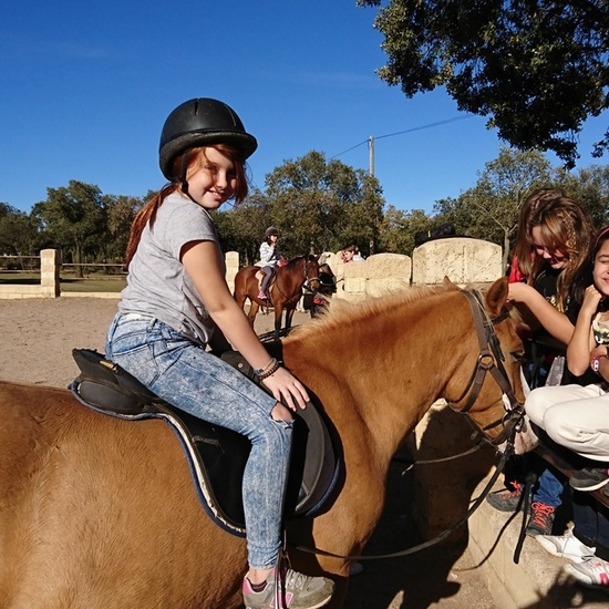 Mohernando 2017_2 17