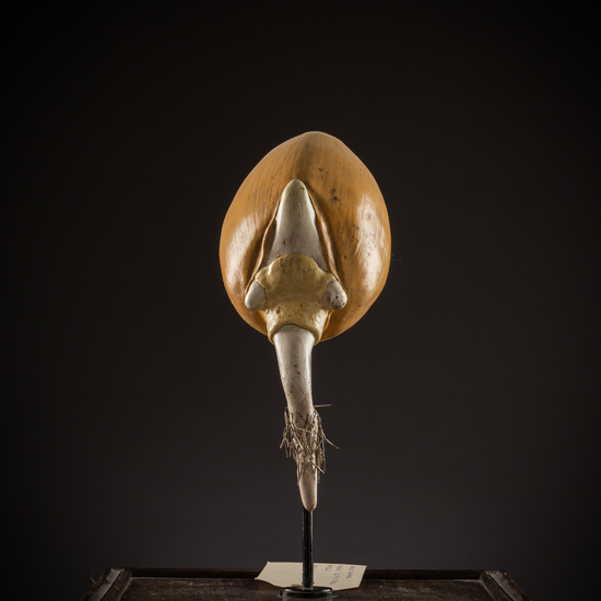 IES_SANISIDRO_BIOLOGIA_208