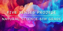 Five senses project 