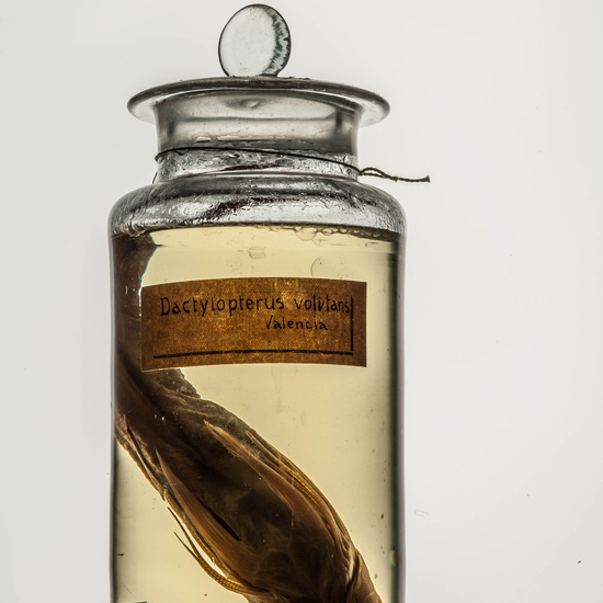 IES_CARDENALCISNEROS_CIENCIASNATURALES_139