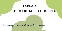 Tarea 4 - Espacio de actividades