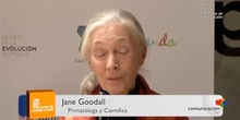 Jane Goodall visita el Museo de la Evolución Humana