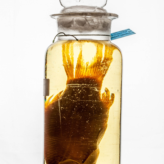 IES_CARDENALCISNEROS_CIENCIASNATURALES_353