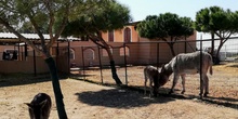 Granja Escuela "Giraluna". Infantil 3 años.1 4