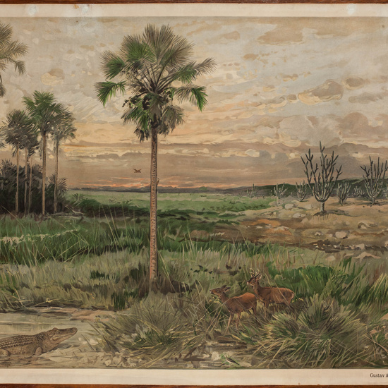 IES_CARDENALCISNEROS_ESPACIOSNATURALES_LAMINAS_010