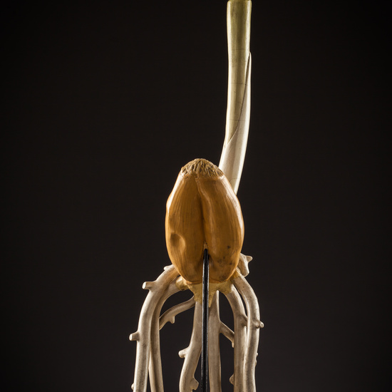 IES_SANISIDRO_BIOLOGIA_200