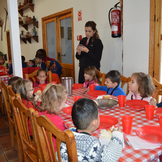 GRANJA ESCUELA ALBITANA 14