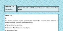 LENGUA T.10 Corrección 2
