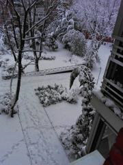 Fotografías Filomena 25