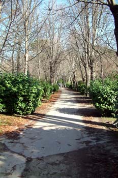 Paseo de los Castaños, Parque del Moro, Madrid