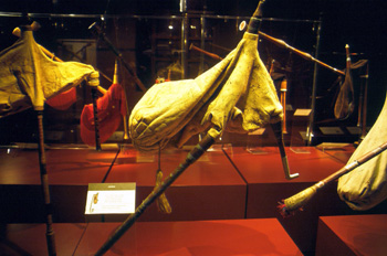 Cimpoi (Rumanía), Museo de la Gaita, Gijón