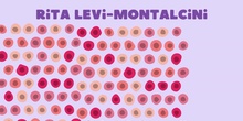 Rita Levi-Montalcini