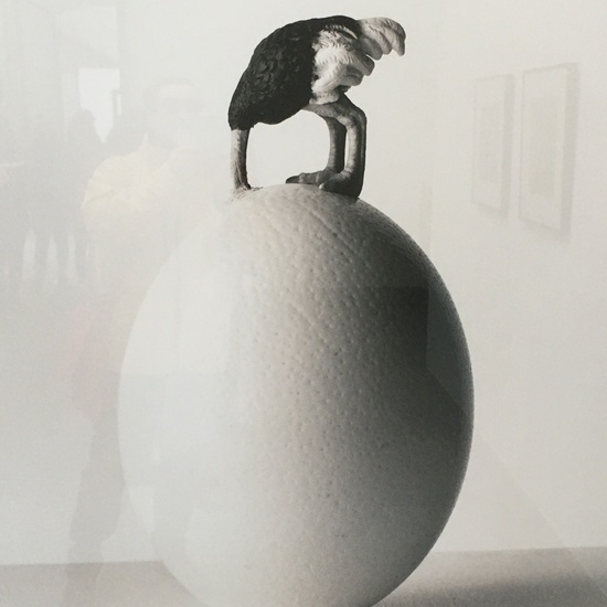 Exposición Chema Madoz 12