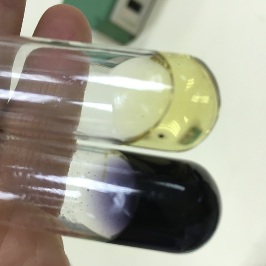 fehling negativo - lugol negativo