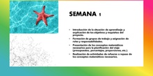 SEMANA 1