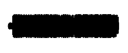 ENTREVISTA A ANA MALLOL