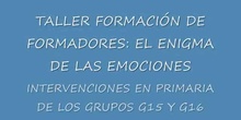 El enigma de las emociones