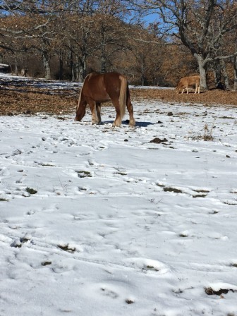 2017_12_04_EXCURSION CUARTO NIEVE 2 11