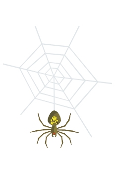 Araña