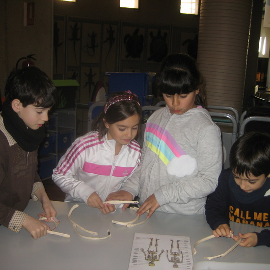 VISITA AL MUSE DE CIENCIAS 3ºA 20
