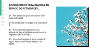 INSTRUCCIONES T5