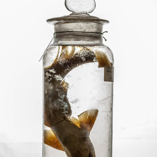 IES_CARDENALCISNEROS_CIENCIASNATURALES_364